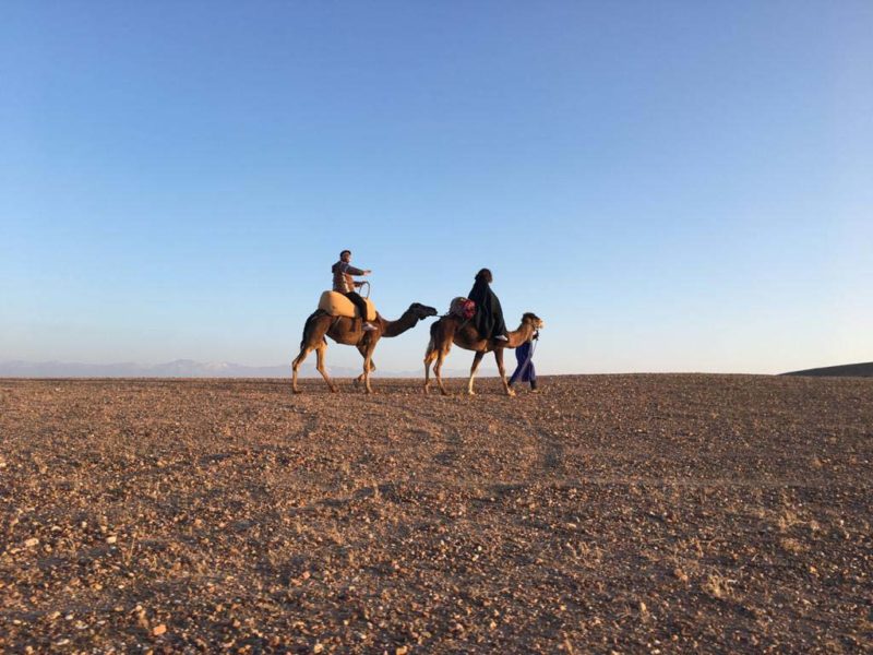 RIAD COCOON MARRAKECH | riad luxe medina, excursion quads buggy chameau marrakech