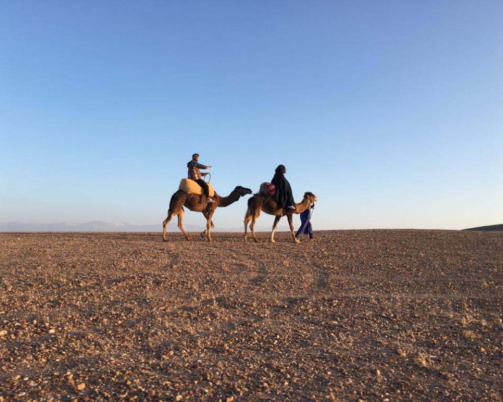 RIAD COCOON MARRAKECH | riad luxe medina, excursion quads buggy chameau marrakech